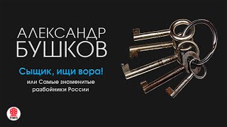 АЛЕКСАНДР БУШКОВ «СЫЩИК ИЩИ ВОРА» Аудиокнига Читает Александр Клюквин [upl. by Dimphia]