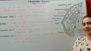 MAMMARY GLANDS HUMAN REPRODUCTION CLASS 12 [upl. by Alidia744]