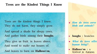 13 Trees are the Kindest Things I Know poem 8th class English subject page no 13 by Zameer Sir [upl. by Vanzant]