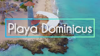 PLAYA DOMINICUS Bayahibe 🏝️ Una de las playas más hermosas de la República Dominicana 🏝️🇩🇴 [upl. by Hooke160]