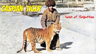 Caspian Tiger II Tales Of Forgotten [upl. by Irej]