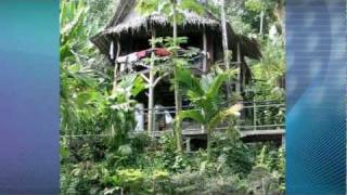 Micronesia Island Life [upl. by Eelrebma]