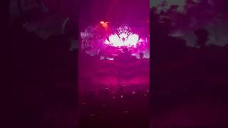 clip from ohmami at chase atlantic concert chaseatlantic concert viralvideo blowup fypシ゚viral [upl. by Viridissa]