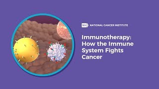 Immunotherapy How the Immune System Fights Cancer [upl. by Deerdre604]