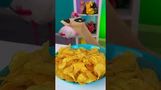 DER GROSSE SOCKENHUNDECHIPKONTROVERSE 🧦🐶🍟 Eine Geschichte von Snacks und Socken kurz [upl. by Anniroc]