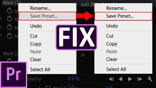 Save Preset Is Greyed Out Premiere Pro [upl. by Herby]