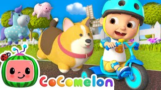 Me amp My Trike  How to Ride a Tricycle 🚲  CoComelon Nursery Rhymes amp Kids Songs [upl. by Nnael]