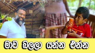 පුන්චි දරුවට හයියක් වෙමු [upl. by Lodhia]