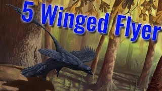 The FiveWinged Dinosaur [upl. by Dennie564]