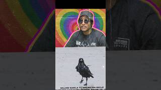 Kale kauve reaction Emiway Diss shorts rap diss reaction emiwaybantai [upl. by Cherlyn]