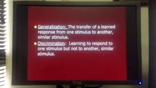 Generalization and Discrimination [upl. by Gran229]