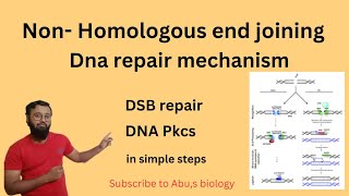 Non Homologous end joining  Dna repair mechanism NHEJ  DSB repair dnarepair [upl. by Isolt]