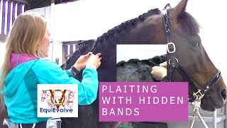 How To Plait A Horses Mane With Concealed Bands [upl. by Layod86]