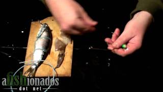 HowTo Rigging a Herring and Squid Combo for Pacific Halibut [upl. by Leahcim]