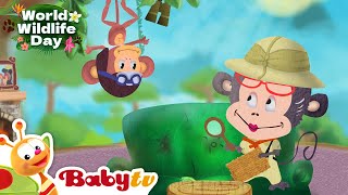 Giraffe 🦒  Animal Videos For Kids  Wild Animals  Full Episode BabyTV [upl. by Hayes68]