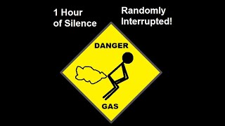 1 Hour of Silence Randomly Interrupted by Farts [upl. by Eatnuahs]