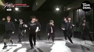 1st VS Last Performance  Hellevator  STRAY KIDS [upl. by Oravla]