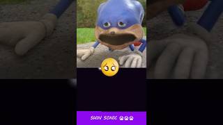 Poor Shin Sonic 😭😭😭😭😭  HorrorSkunx  Bouncing Square sonic [upl. by Heinrike]