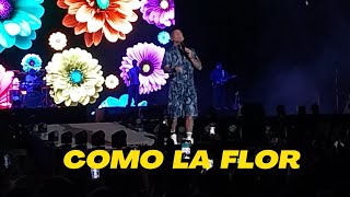 ke personajes como la flor en vivo [upl. by Lal]