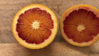 Tarocco Blood orange harvest 4K Grown in the UK flower to fruit UKCitrus Bloodoranges [upl. by Reinaldos]