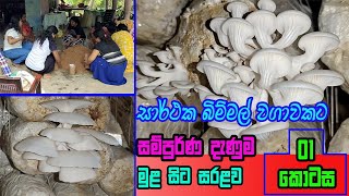 සාර්ථක බිම් මල් වගාවක් සඳහා  bimmal wagawa  Mushroom Cultivation A to Z  hathu wagawa part 01 [upl. by Gruver518]