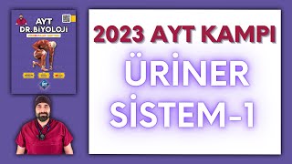 Üriner Sistemi1 AYT Biyoloji Kampı Konu Anlatımı 11Sınıf 2024 Tayfa [upl. by Hannan478]