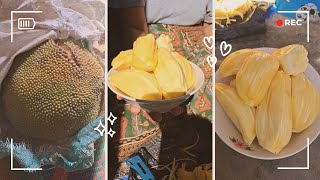 Giant fruit Buah tropis Hometown Stories [upl. by Ahseyn]