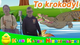 Krokodyla znaki  Piosenki dla dzieci  Klub Kaczki Niedziwaczki [upl. by Eward864]