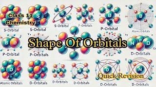 Understanding the Shape of Orbitals Class 11 Chemistry Essentials AtomicOrbitals ChemistryClass11 [upl. by Bidget829]