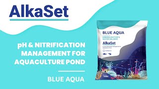 Alkaset pH and Nitrification Management for Aquaculture Pond [upl. by Pegma]