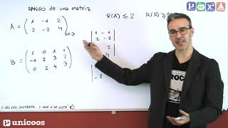 RANGO de una matriz por determinantes 01 BACHILLERATO unicoos [upl. by Sone]