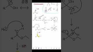 3분화학 에스터화반응메커니즘 에스터 촉매 형식전하 이탈기 공명구조 파이결합 p오비탈 엄마표 [upl. by Dnivra]