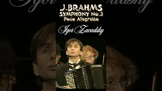 JBrahms  Symphony №3 Poco Allegretto 27 Zavadsky brahms accordion symphonymusic orchestra [upl. by Aelhsa]