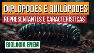 DIPLÓPODES E QUILÓPODES representantes e características  Biologia para o Enem  Cláudia Aguiar [upl. by Ginger]