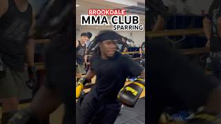 MMA Sparring at Brookdale Community College mma shortvideo shortsfeed mmafights short [upl. by Jorrie581]