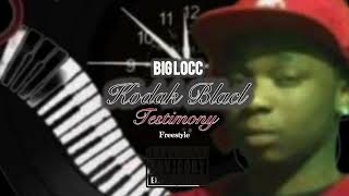 Kodak Black Testimony Freestyle By Bigg Locc [upl. by Samford]