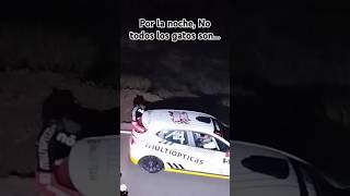 La nocturnidad da el liderado a unos sorprendentes Fernando Cruz y Juan Ricardo Luis Clio Rally3 [upl. by Hedberg]