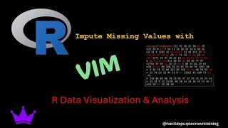 R Data Visualization amp Analysis Impute Missing Values With VIM [upl. by Alael]