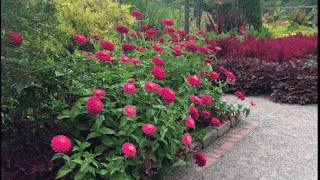 A Walk Through Beautiful Cantigny Park August 21 2017 [upl. by Ozen356]