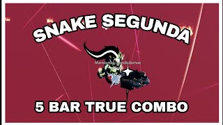 SNAKE SEGUNDA HAS A 5 BAR TRUE COMBO  Type Soul [upl. by Naek654]