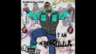 Gorilla Zoe  Free Falling [upl. by Notsgnik]