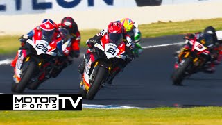 2024 Australian Superbike Championship ASBK  Round 1 Phillip Island  Superbikes [upl. by Nelehyram134]