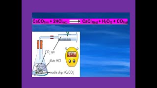 Reaction of Calcium Carbonate with Dilute Hydrochloric Acid [upl. by Aerdnod]