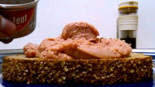 Horrifying Food Review Potted Meat [upl. by Ondrej]