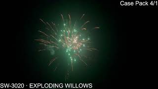 Exploding Willow [upl. by Mauro739]