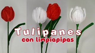 🌷Cómo hacer TULIPANES con LIMPIAPIPAS🌷  flores eternas ♡ [upl. by Runkel]