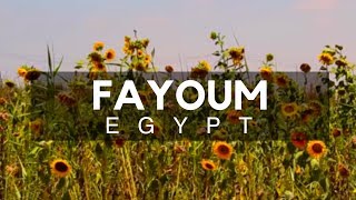 Fayoum City amp Oasis  City of Waterfalls Southwest of Cairo  Alchemist [upl. by Siulegroj]