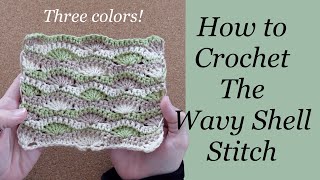 Wavy Shell Stitch Crochet Tutorial in Three Colors  How to Crochet the Wavy Shell Stitch [upl. by Edyaw10]