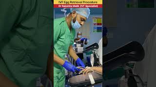 IVF Egg Retrieval Procedure by Dr Rakshita Malik ivfspecialist ivfdoctor ivfcenter ivfsuccess [upl. by Daffy]