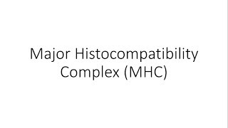 Major Histocompatibilty Complex MHC  Human Leukocyte Antigens HLA  Immunology [upl. by Beulah70]